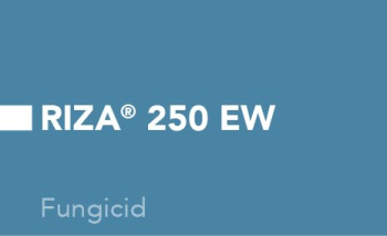 2407 _MD Fungicide-RIZA&amp;reg; 250 EW.jpg