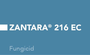 2407 _RO Fungicide-ZANTARA&amp;reg; 216 EC.jpg